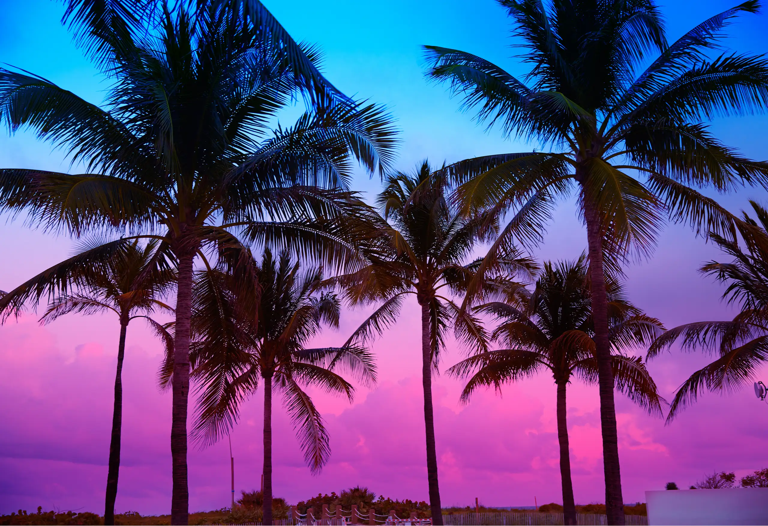 Bi-Coastal | Montessori-Trained ROTA Nanny/Educator Wanted For Travel-Loving Family