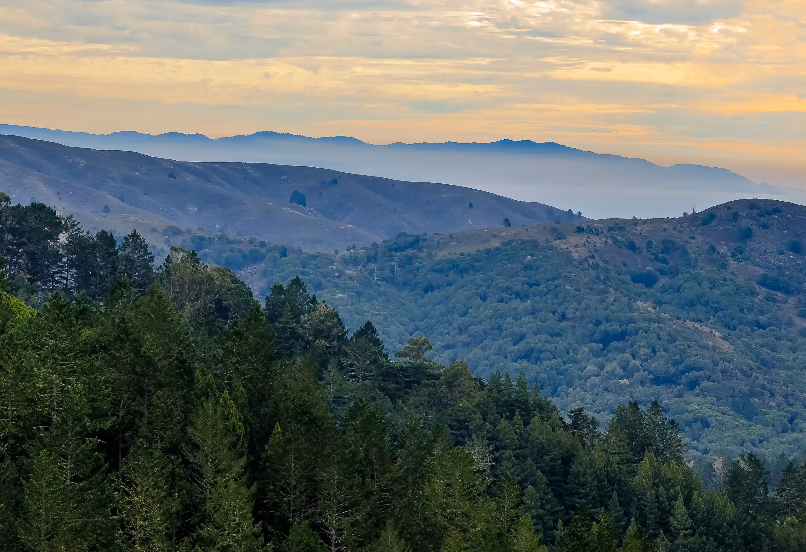 Marin County, CA | Experienced And Passionate Nanny Wanted For Progressive Bay Area Family