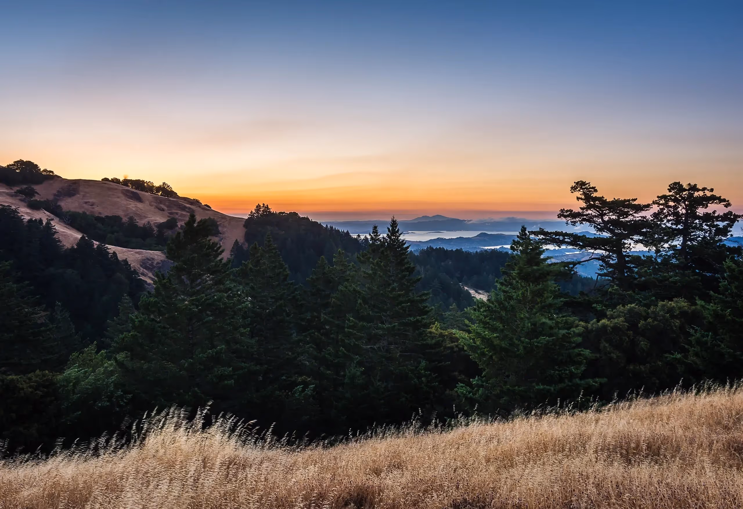 Mill Valley, CA | Grounded Infant Nanny Wanted For Organized First-Time Family