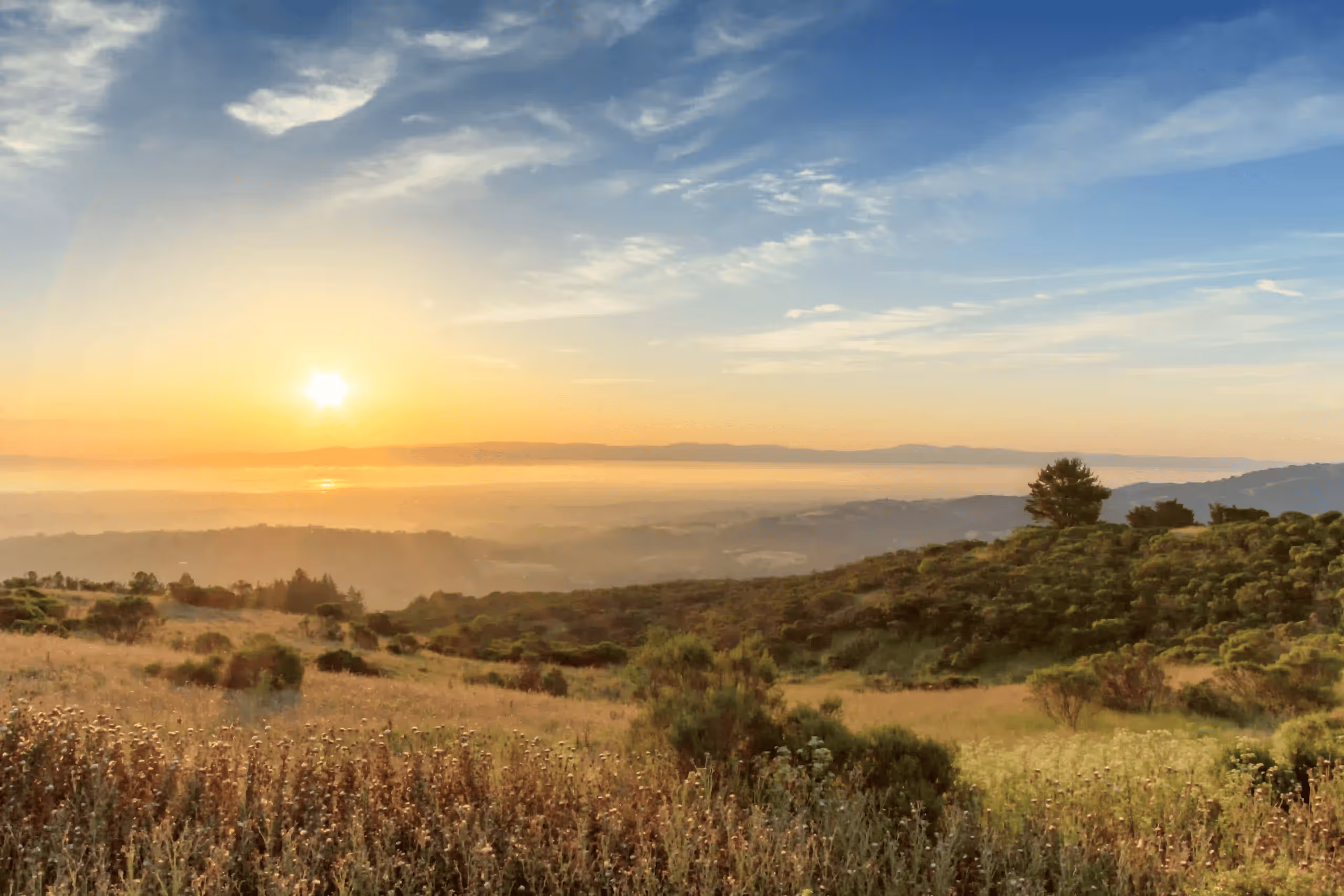 Bay Area, CA | Attentive Newborn Care Specialist Wanted For First-Time Parents