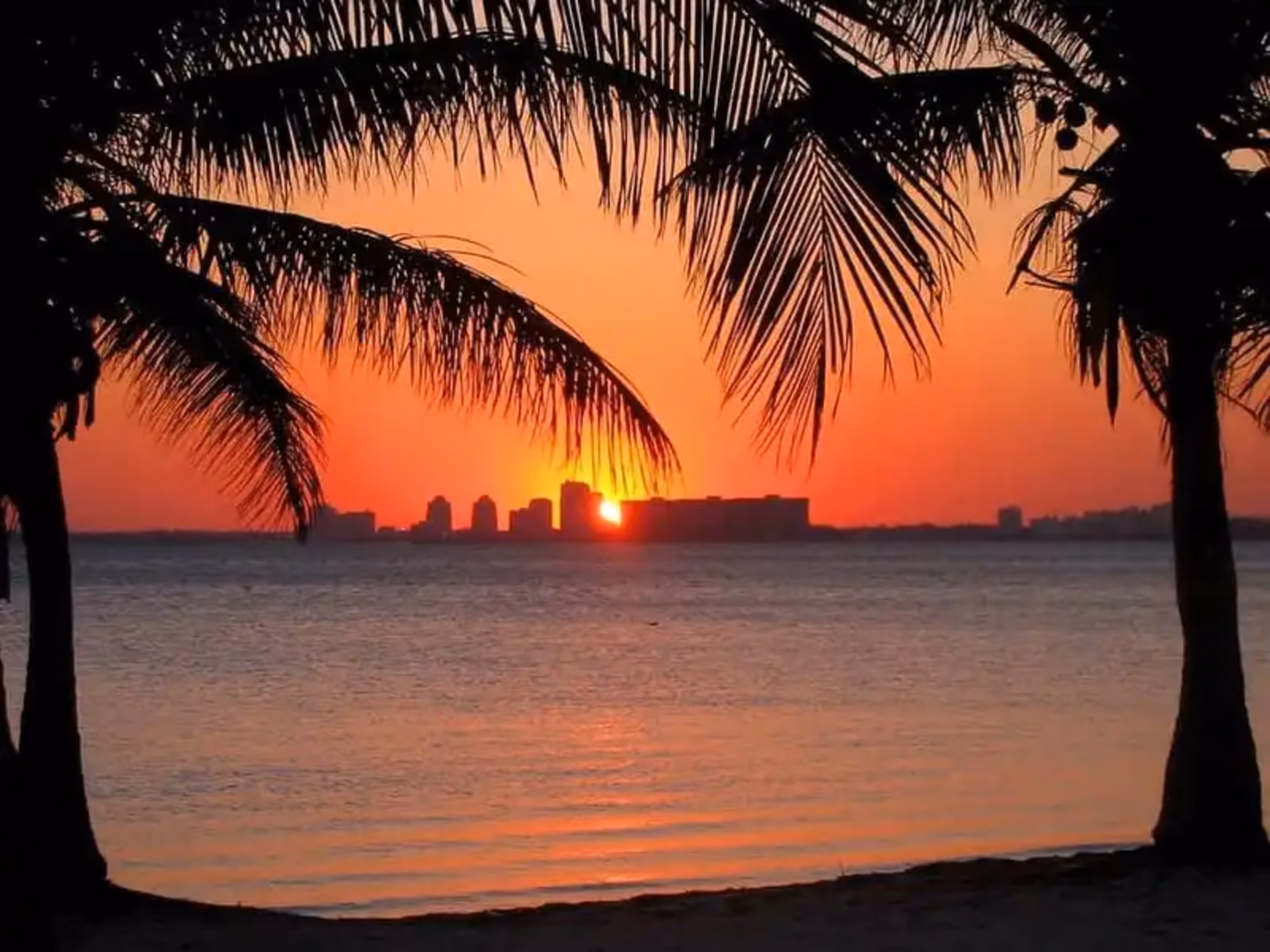 Miami Beach, FL | Engaging Nanny Wanted For Organized Family