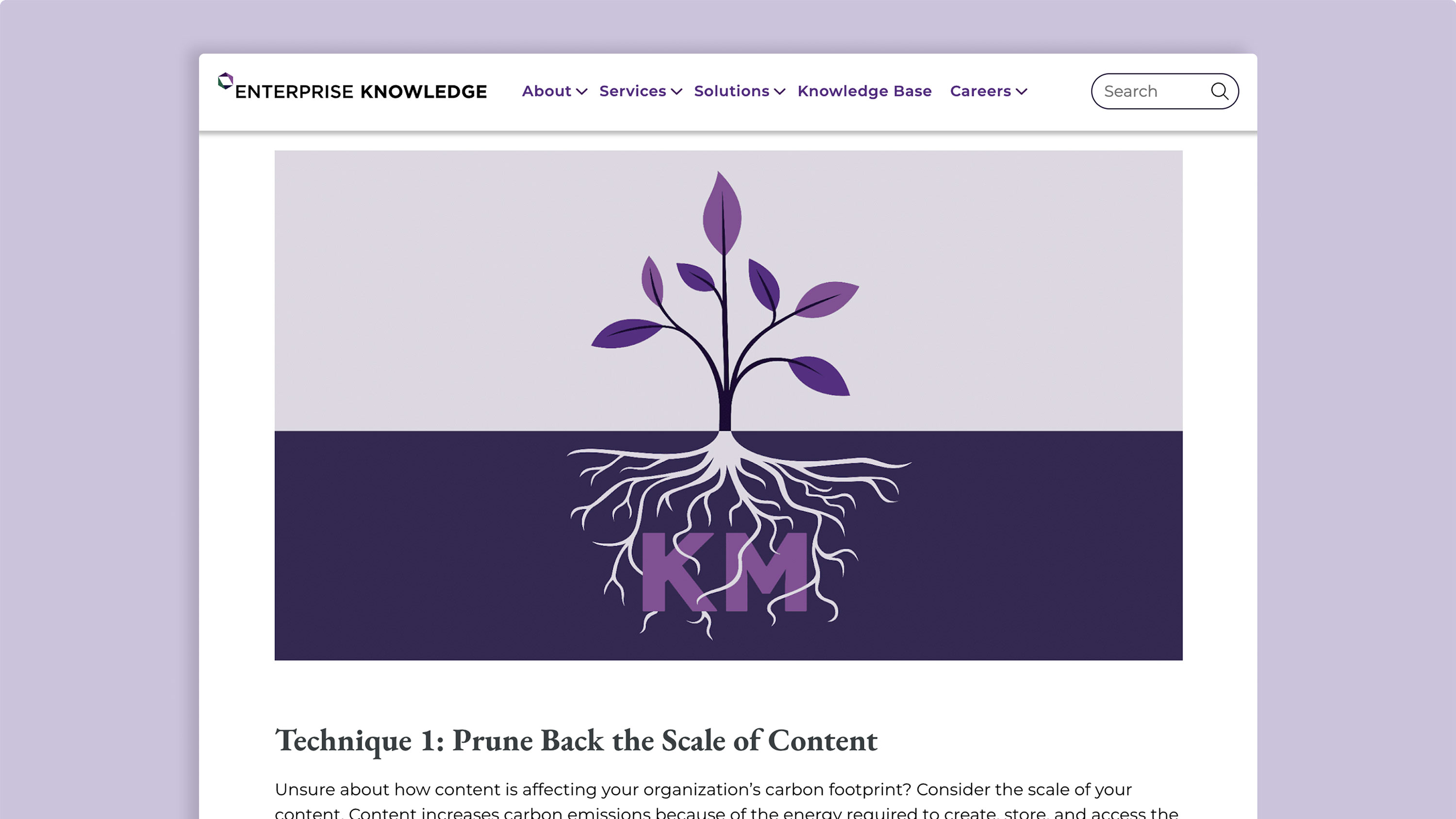 Illustration of a purple plant with roots shaped like the letters KM growing from dark soil.