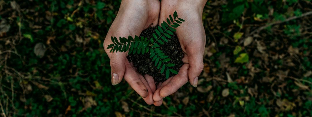 Why Sustainable Sourcing Is Key to Your Business