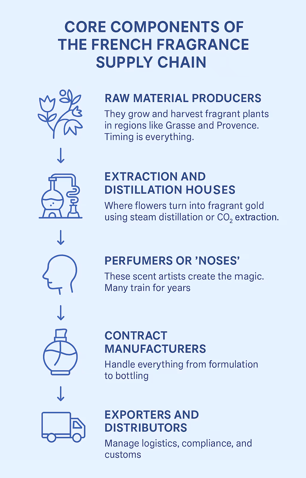 Core Components of the French Fragrance Supply Chain