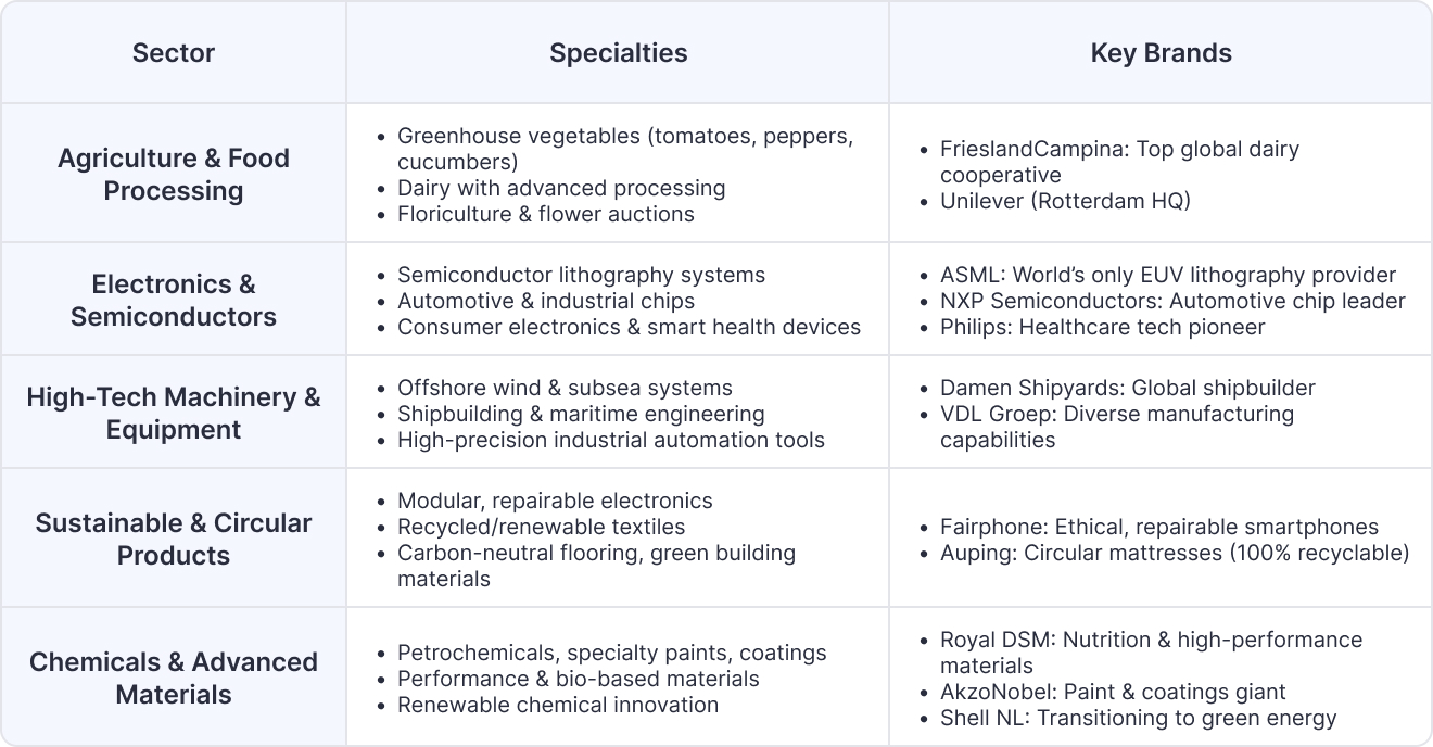 Netherlands' Manufacturing Strengths: A Deep Dive