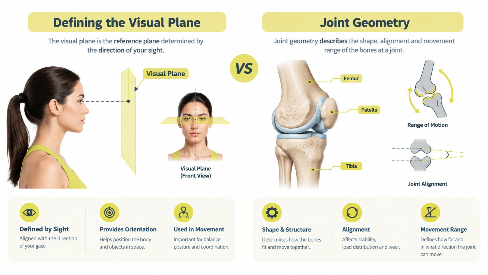 An infographic comparing visual plane concepts with anatomical joint geometry for understanding body alignment and movement.