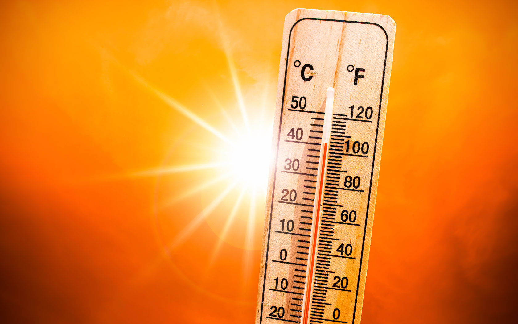 Réagir face à la canicule au domicile