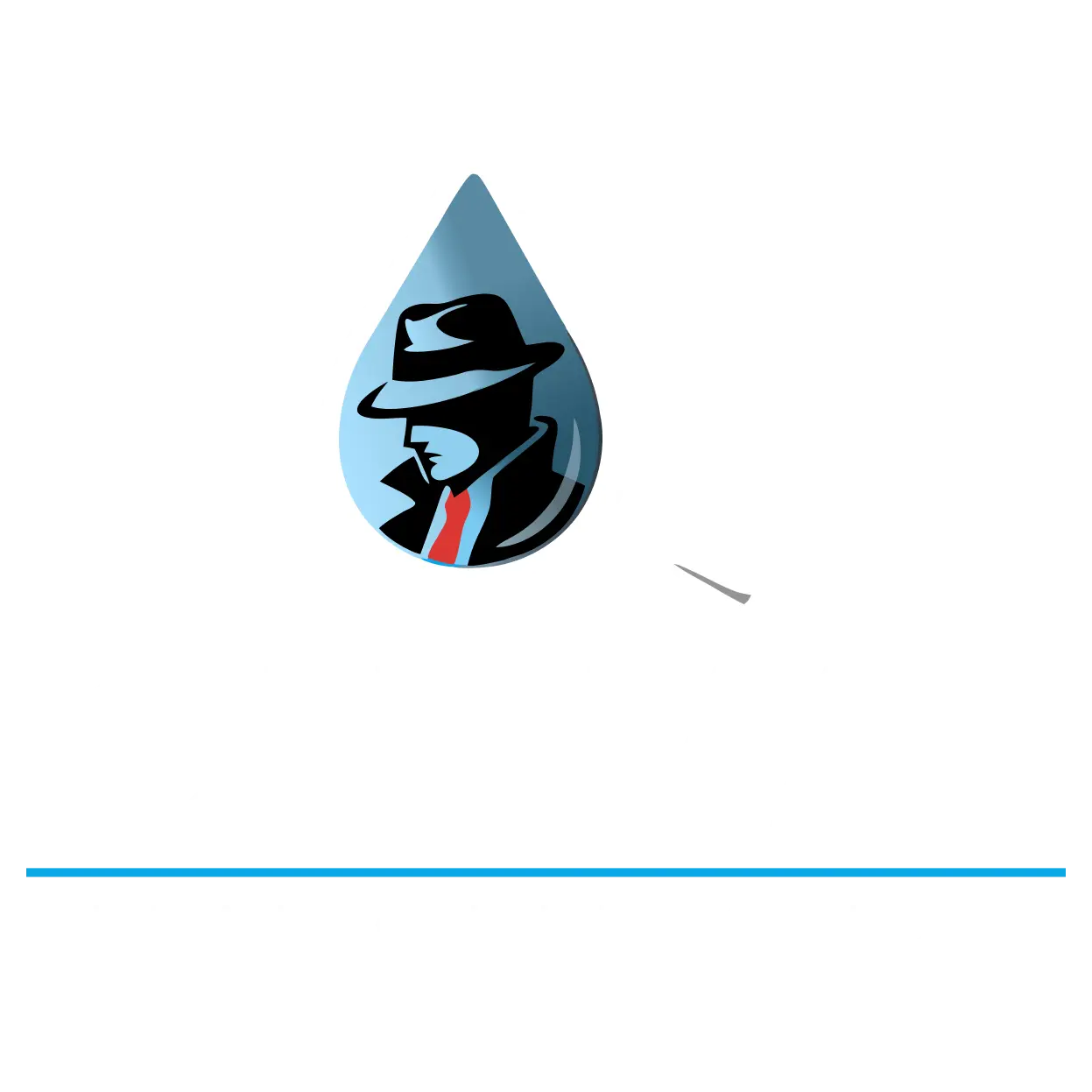 Footer Logo Image