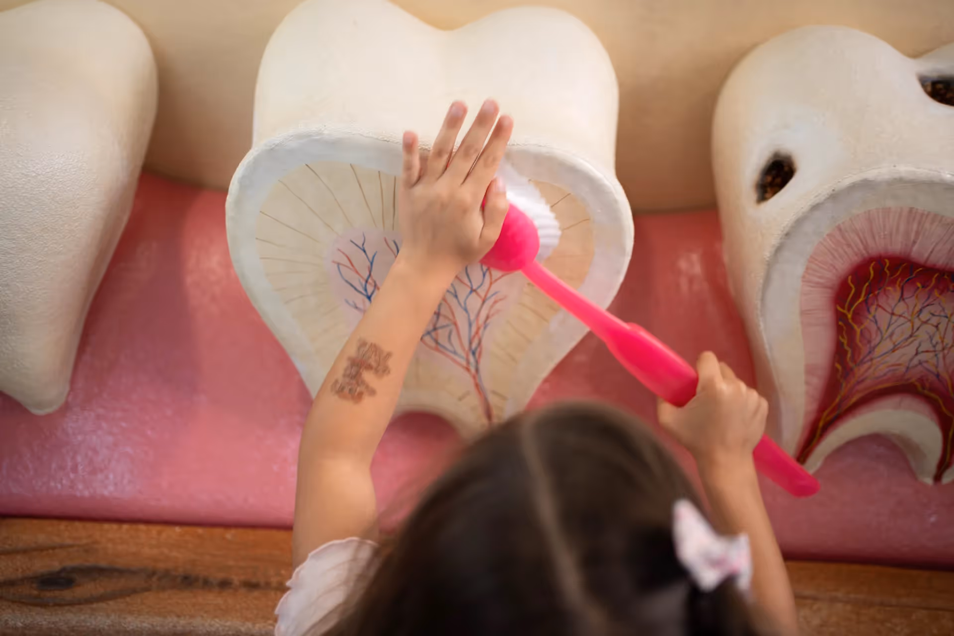 Orthodontic Emergencies 