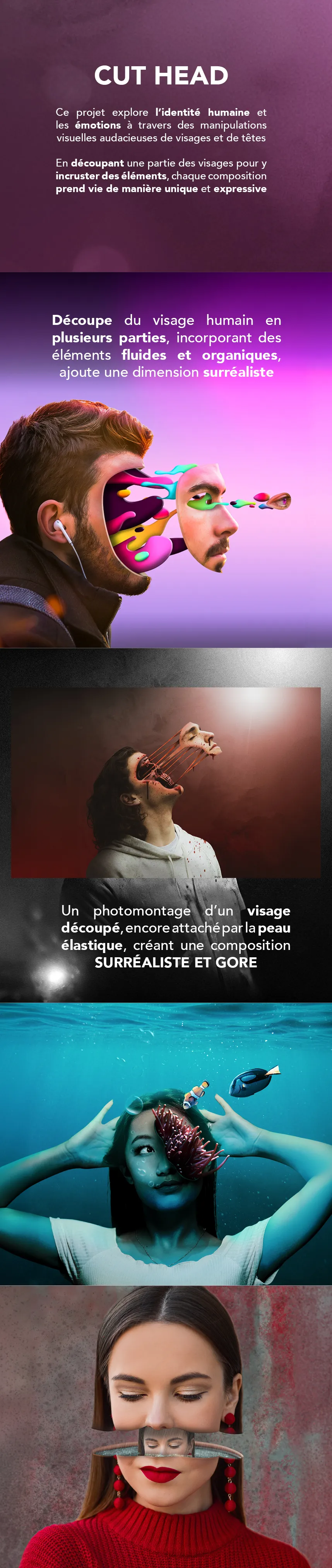 Projet responsive cut head