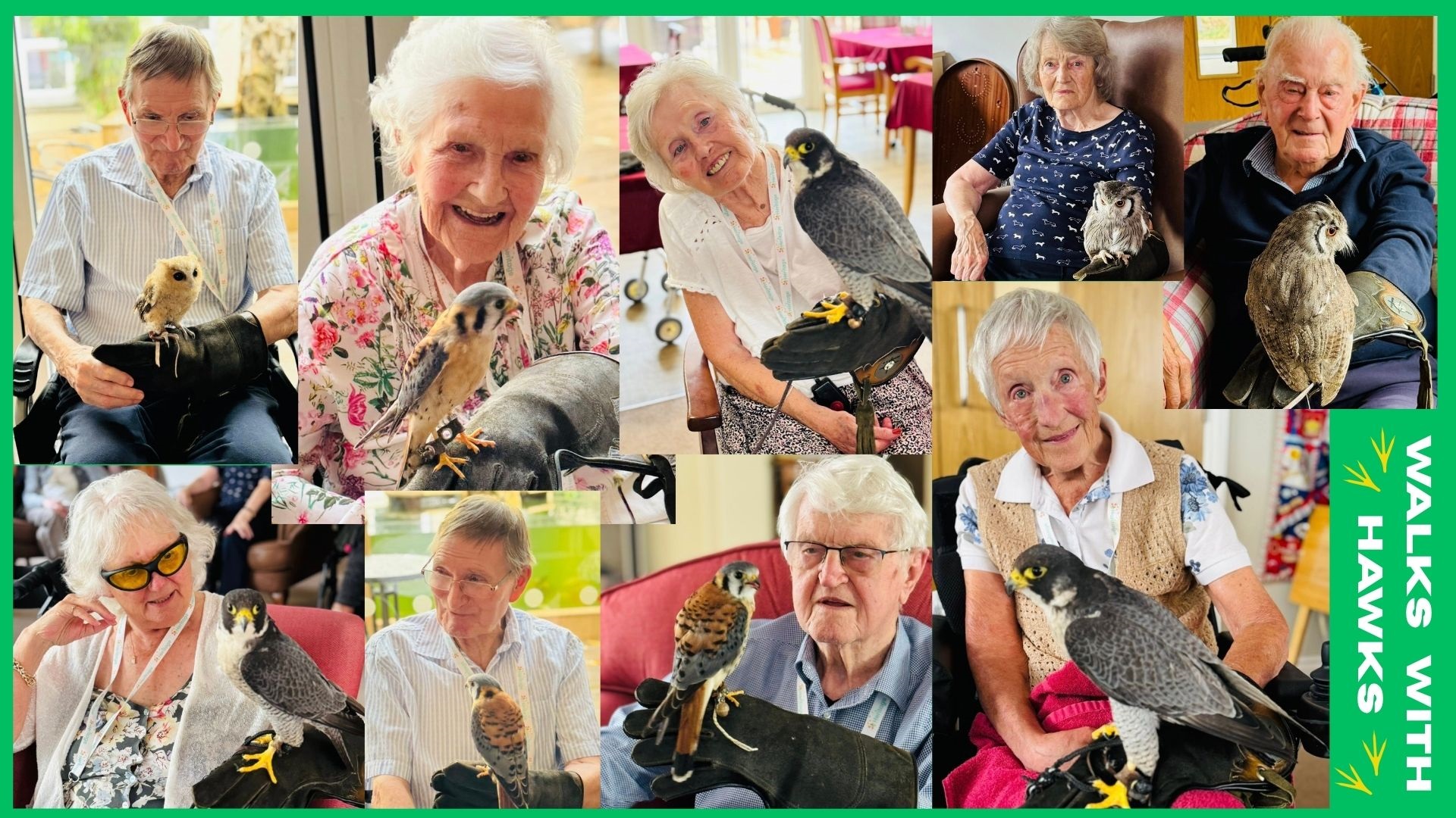 Walk with Hawks at The Lawns 