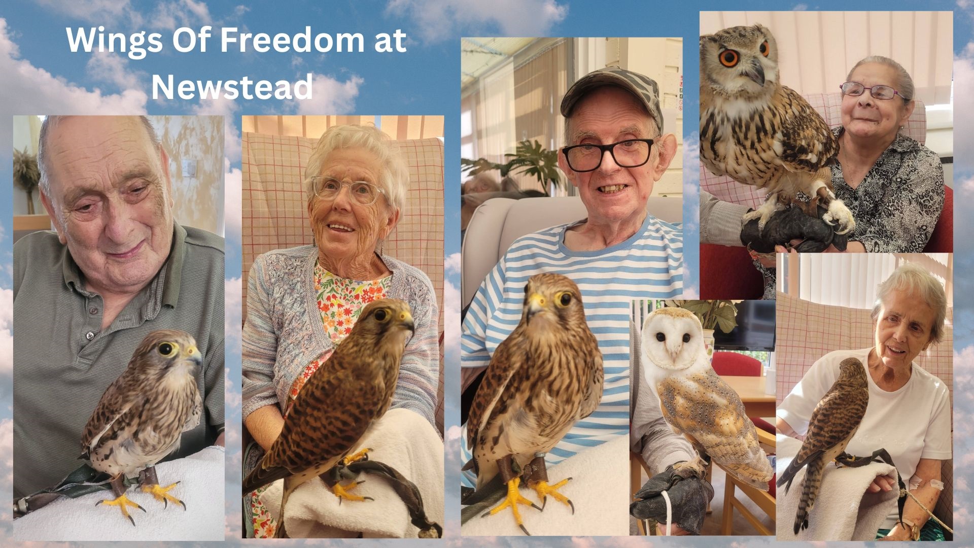 Wings of Freedom at Newstead