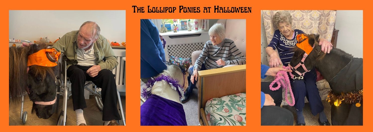 Halloween Lollipop ponies at Summerdyne 