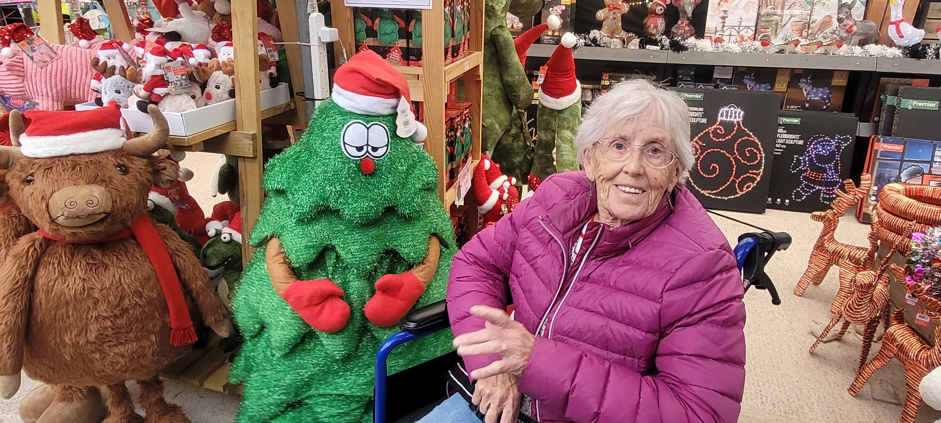 Autumn fun and Christmas plans