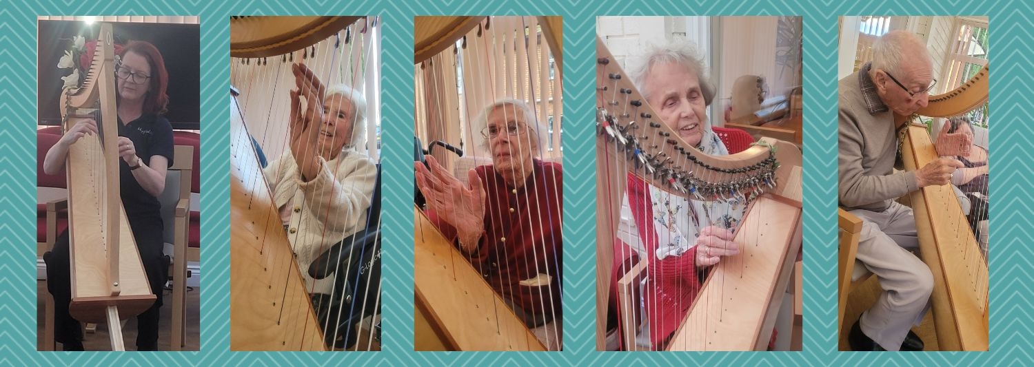 Harpist visiting Newstead