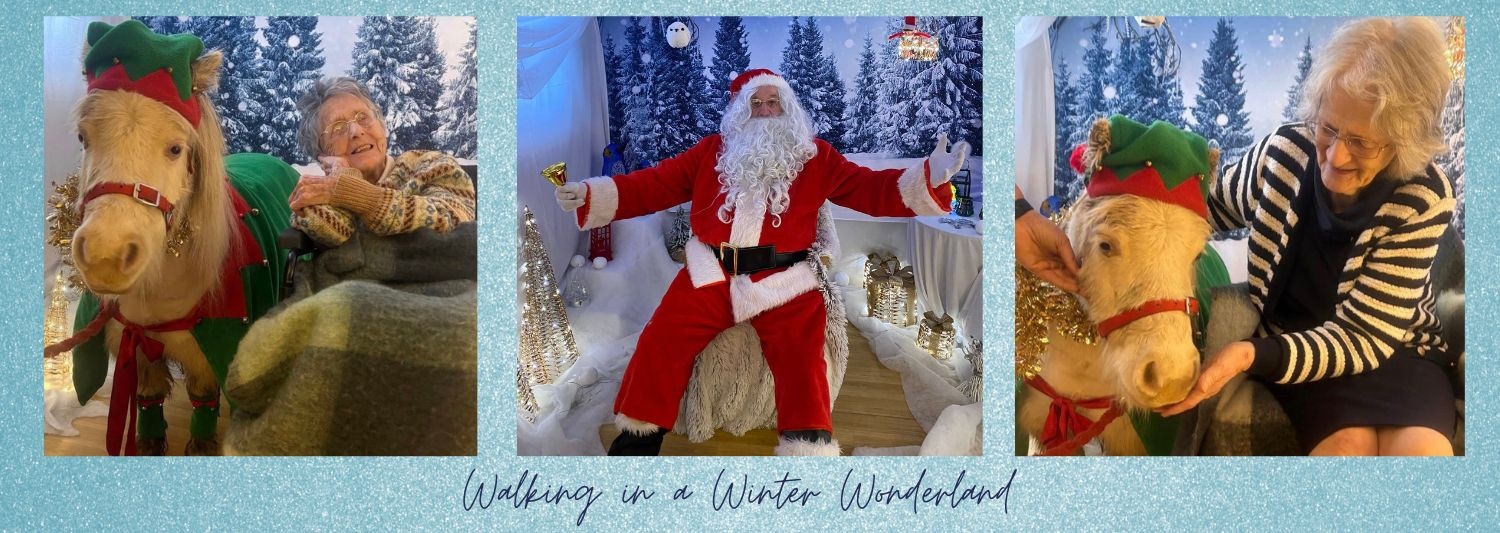 Winter Wonderland at Summerdyne