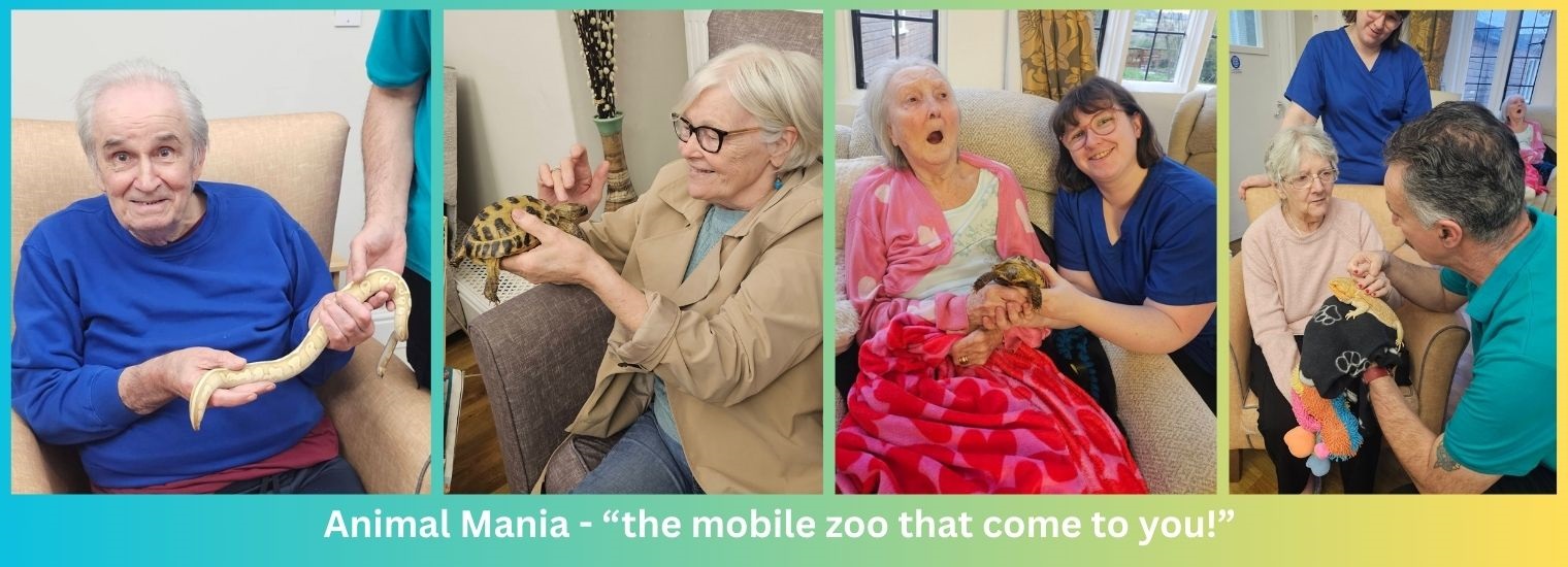 Animal Mania at Astley Hall