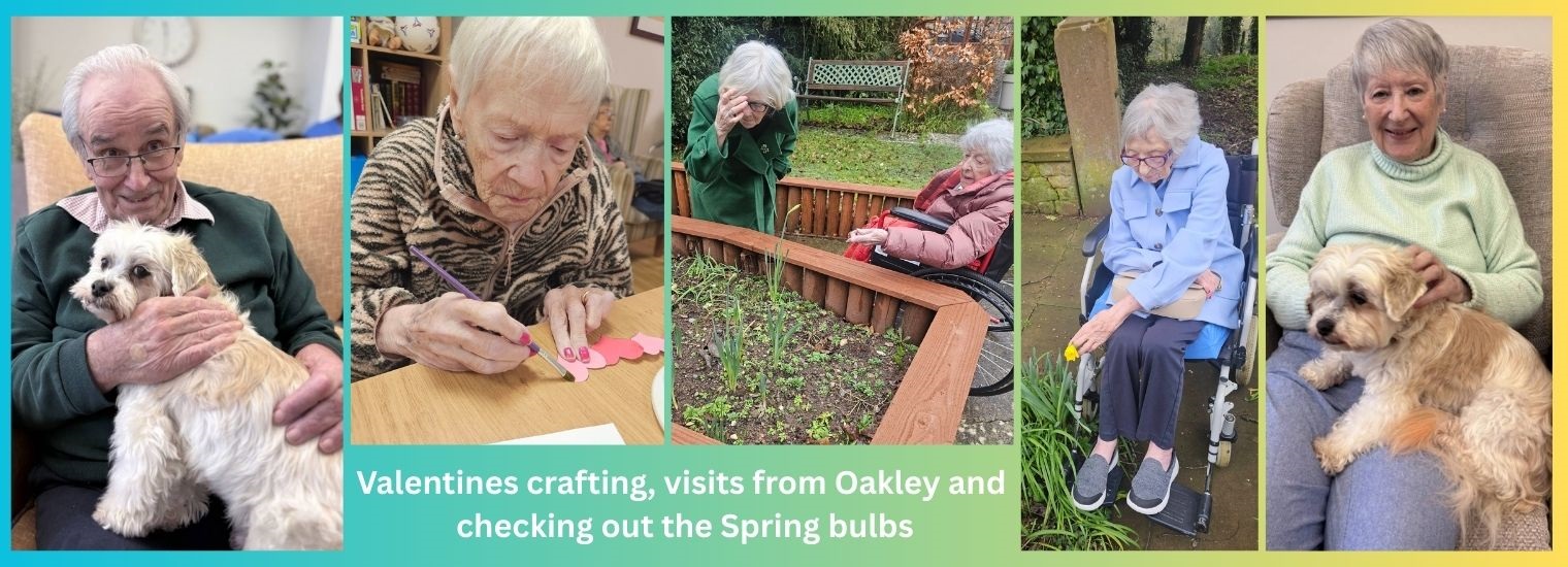 February activities montage Astley Hall 