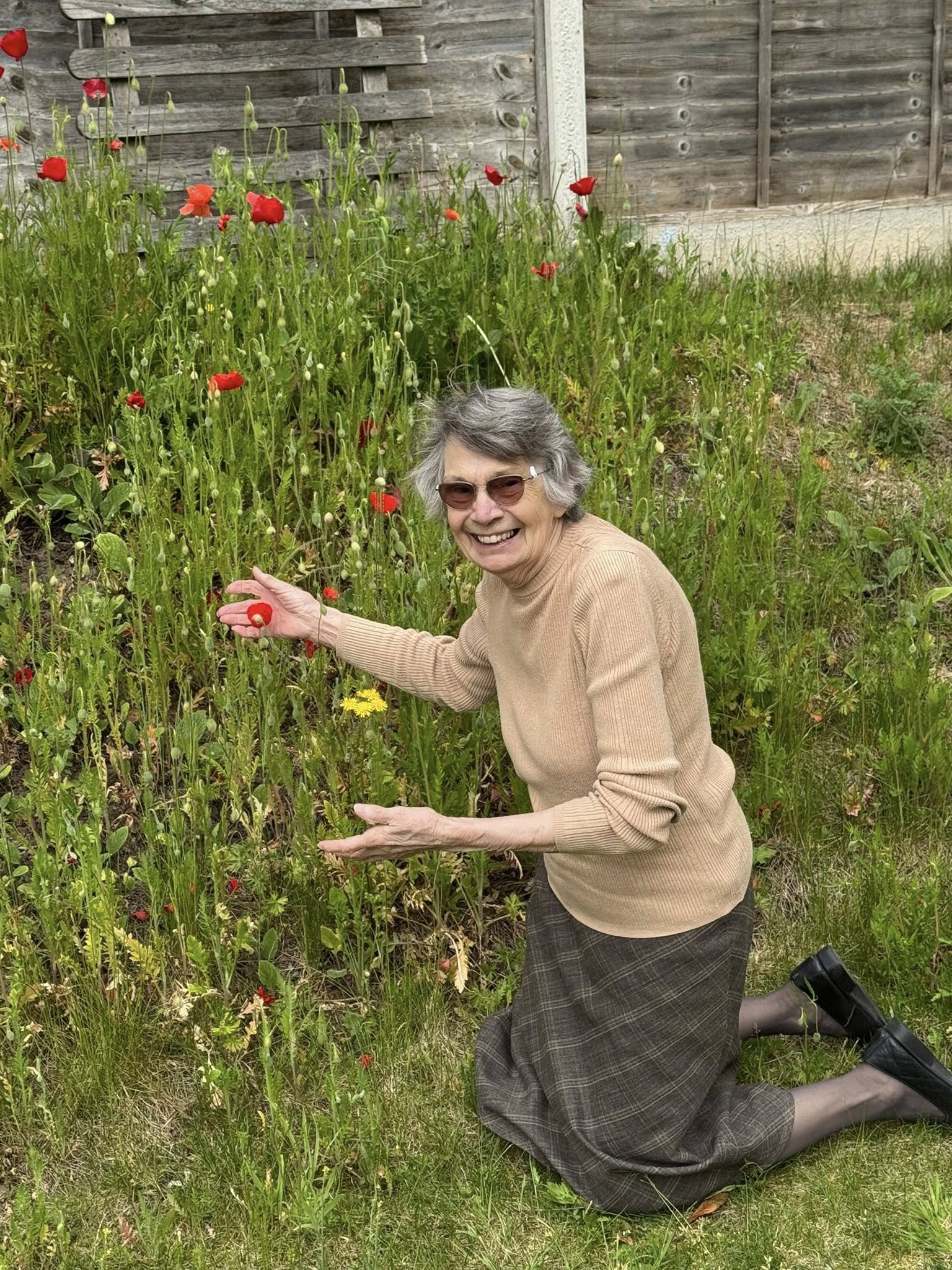 Spring news and plans for the early summer