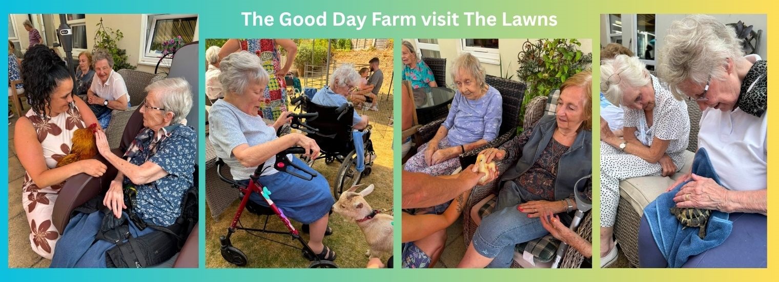 The Good Day Farm at The Lawns 