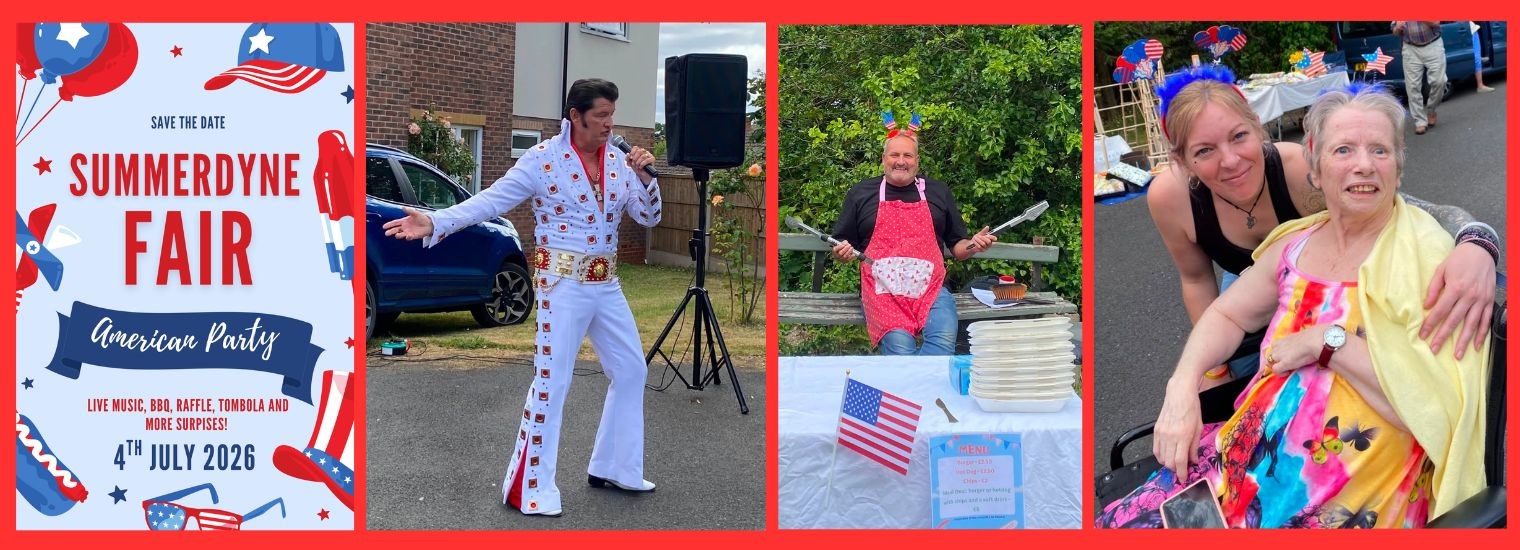 Summer Fair at Summerdyne