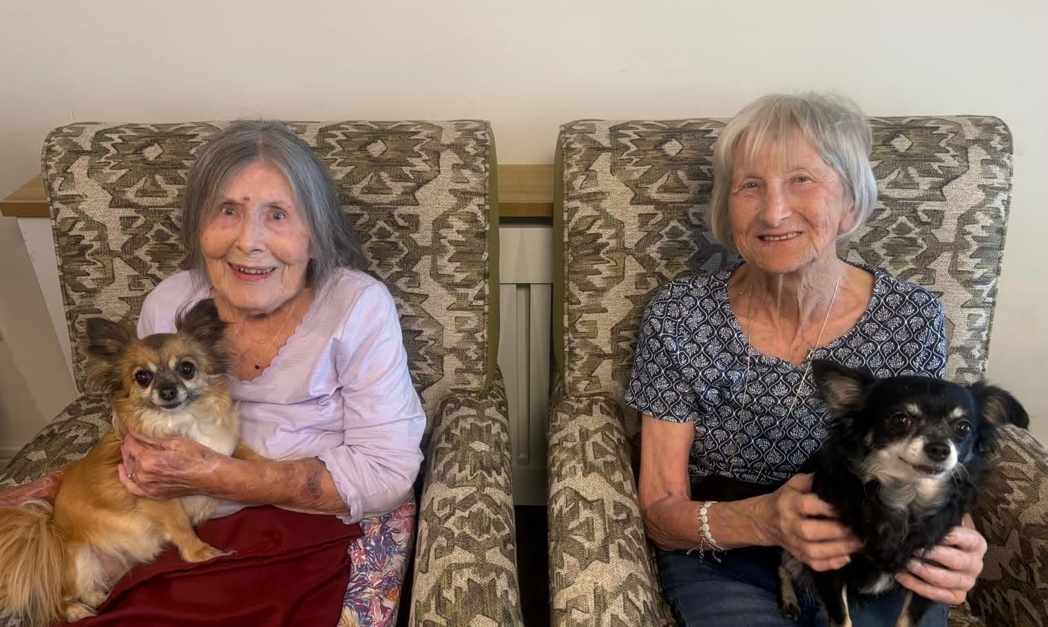 Therapy dogs at Summerdyne