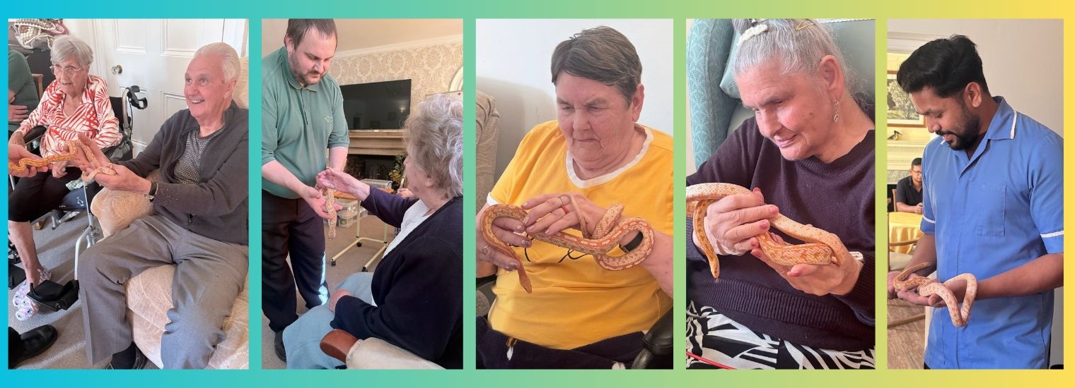 Visit from the mobile zoo at Abberton