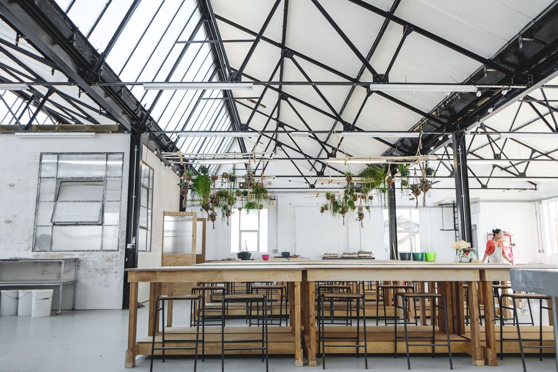 Leyton's main pottery studio under a glass roof, with long wooden workbenches, stools and hanging plants