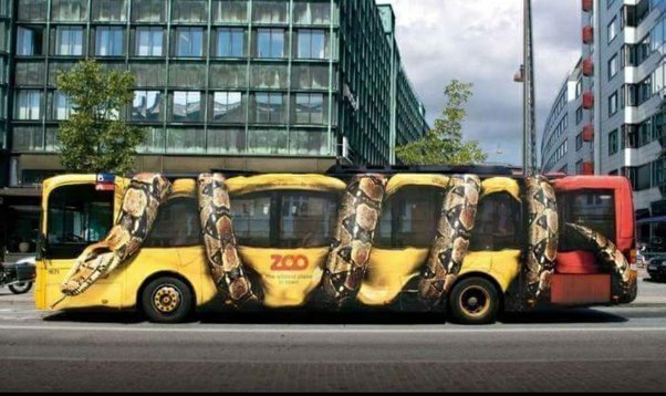 Bus Constrictor