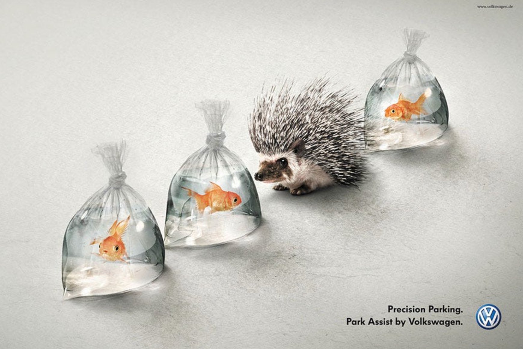 funny ad - Porcupine Park Assist