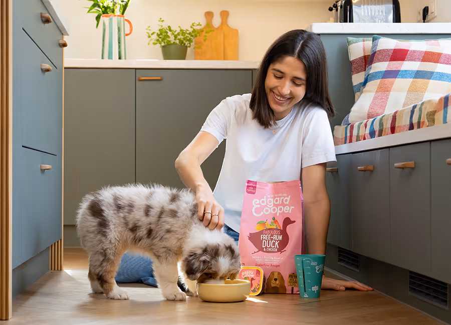Smiling woman sitting on kitchen floor petting an Australian Shepherd puppy eating from a yellow bowl next to Edgard Cooper dog food packages.