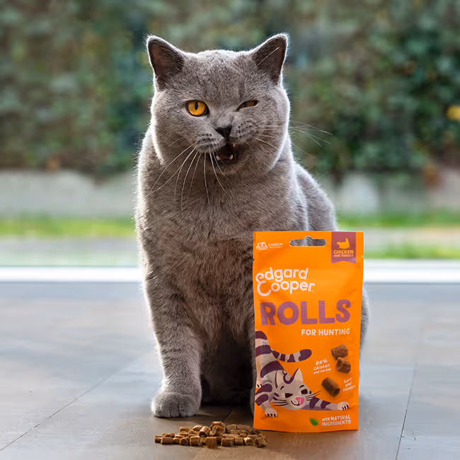 Edgard &​​ Cooper