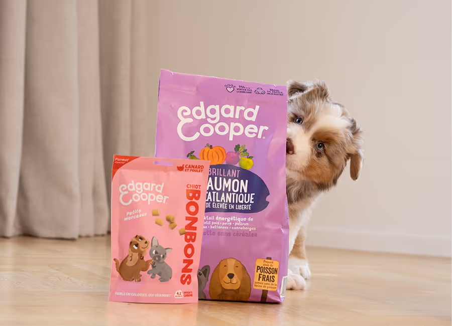 Edgard &​​ Cooper