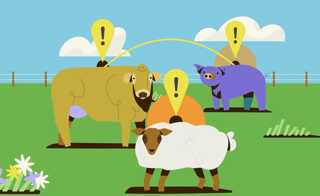 Screens showing text and videos on a mobile phone