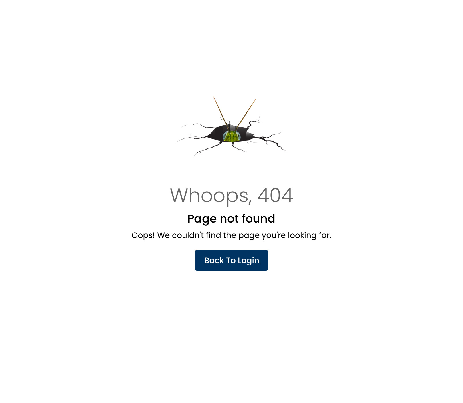 Error page 404 interface
