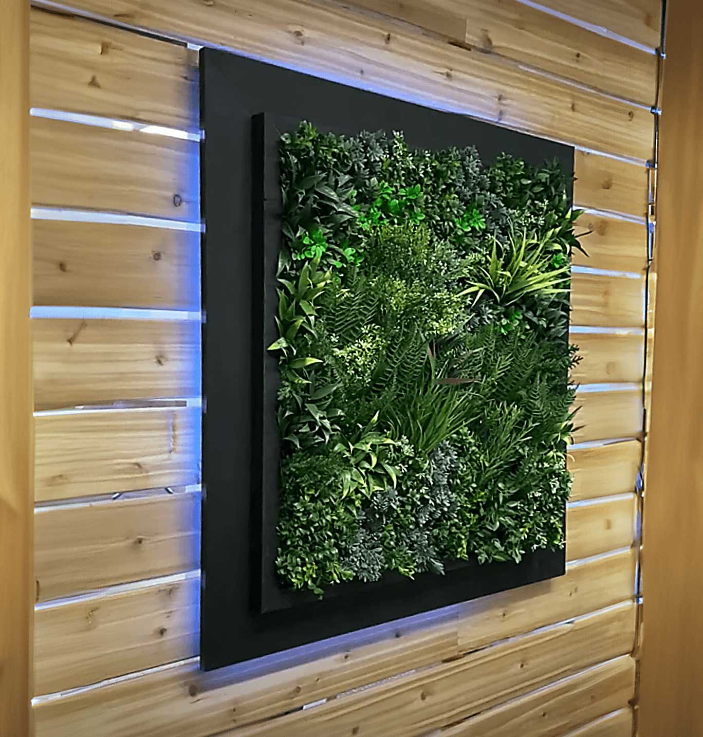Artificial green wall panel with rear lit LED lighting