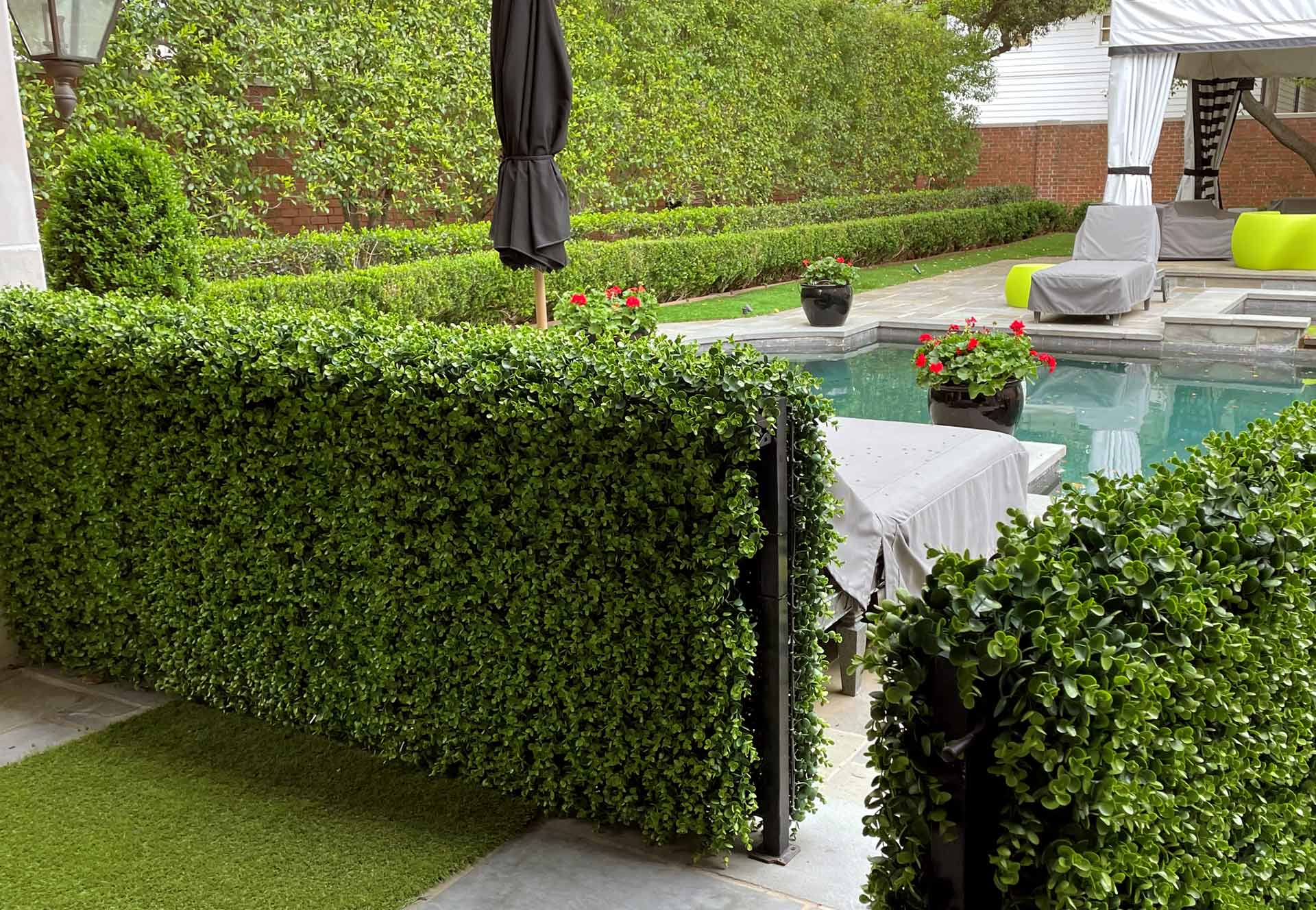 Calico Greens Green Wall Installation