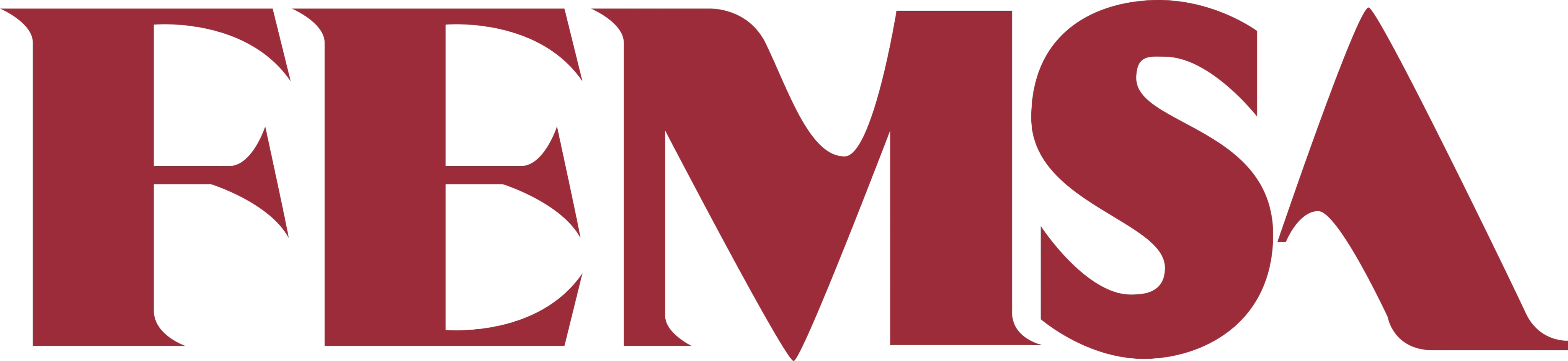 FEMSA company name in bold red uppercase letters.