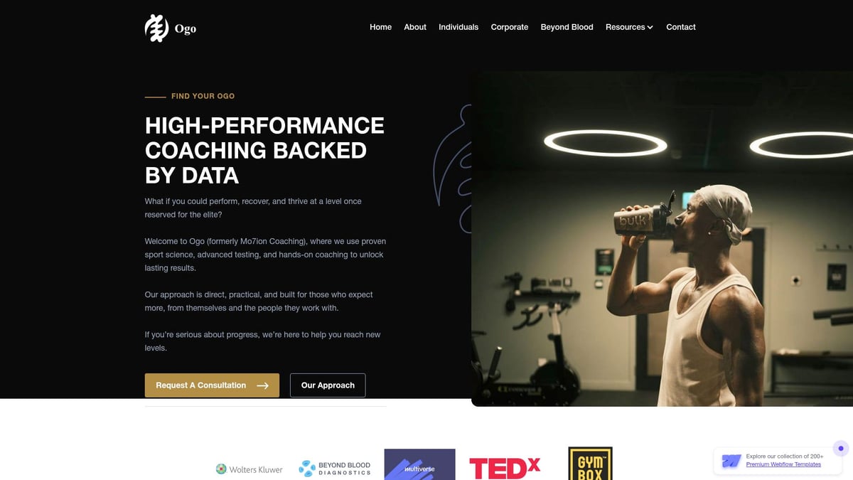 Tired but Blood Tests Normal: A Guide to Next Steps 2026 - Ogo: Science-Backed Coaching for Lasting Energy and Resilience