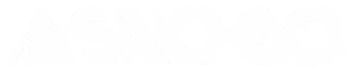 SNOGO Logo Client