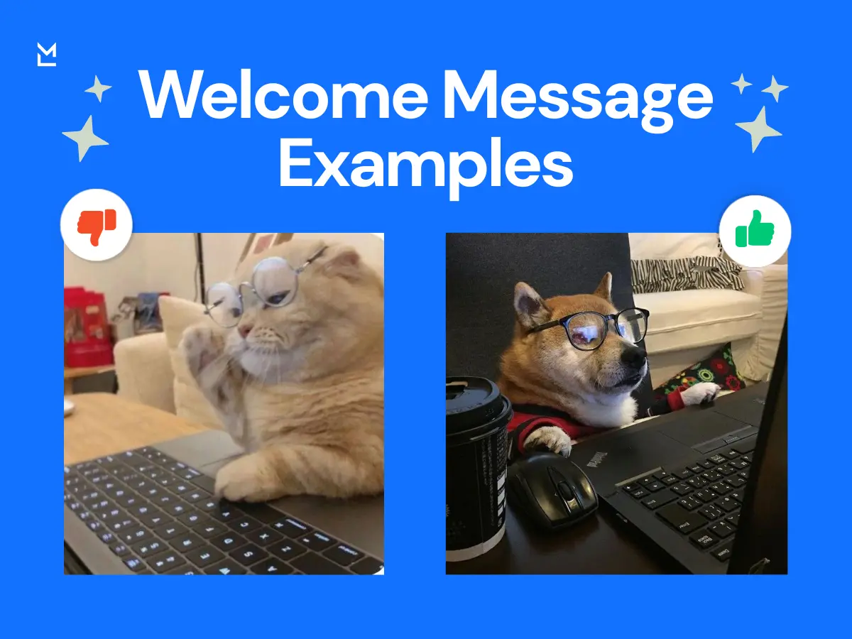 Funny comparison of welcome message examples with cat and dog using laptops. Cat shows bad welcome message with thumbs down, dog represents good welcome message with thumbs up. Humorous visual for team onboarding and communication tips.
