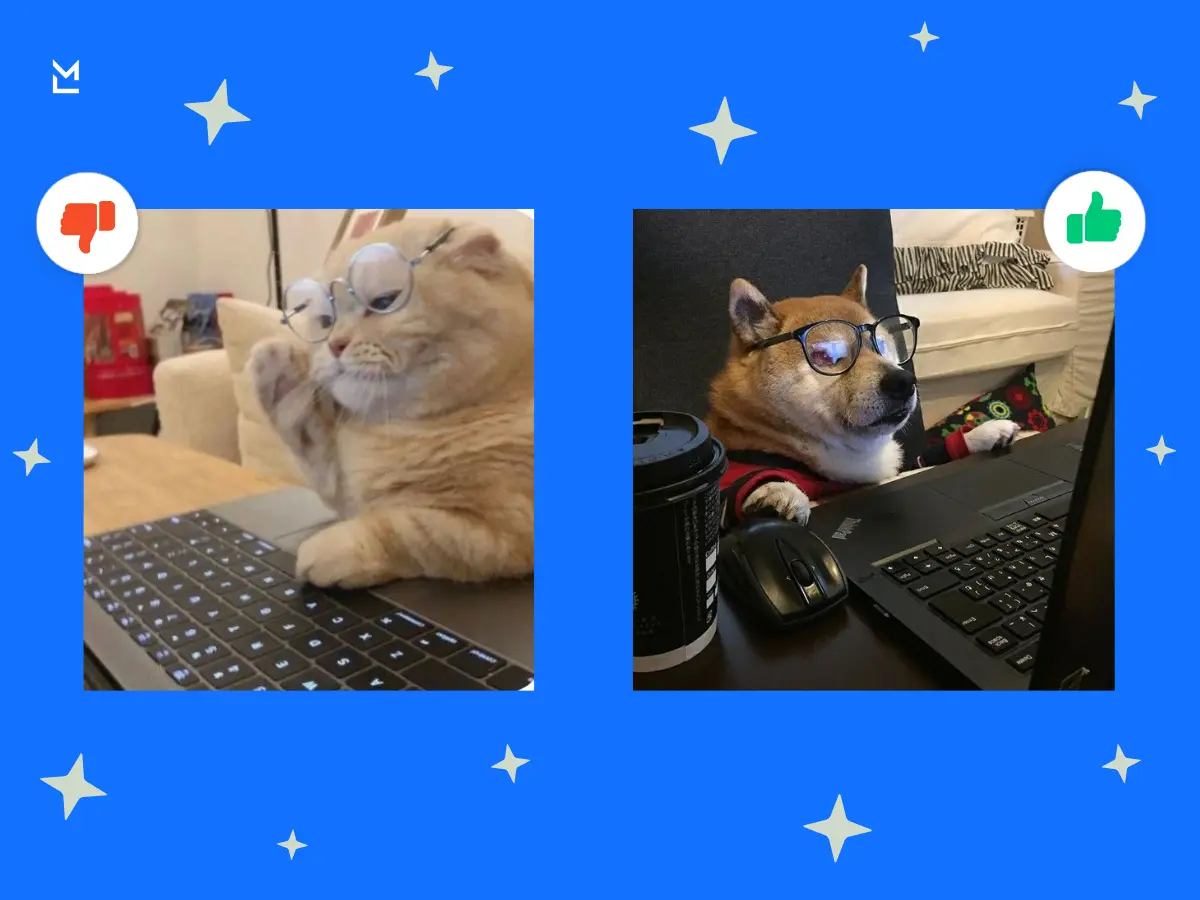 Funny comparison of a cat and a dog using laptops, with the dog looking productive and the cat struggling.