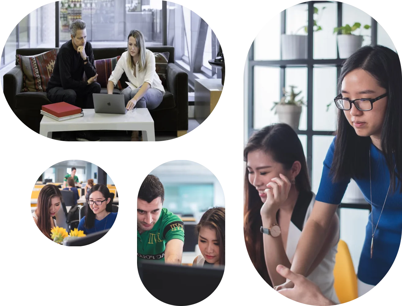 Chromie Team working in the office.