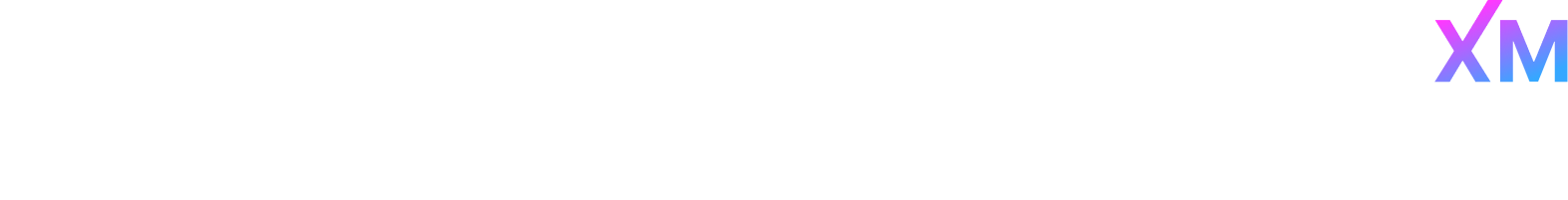 RealWork XM