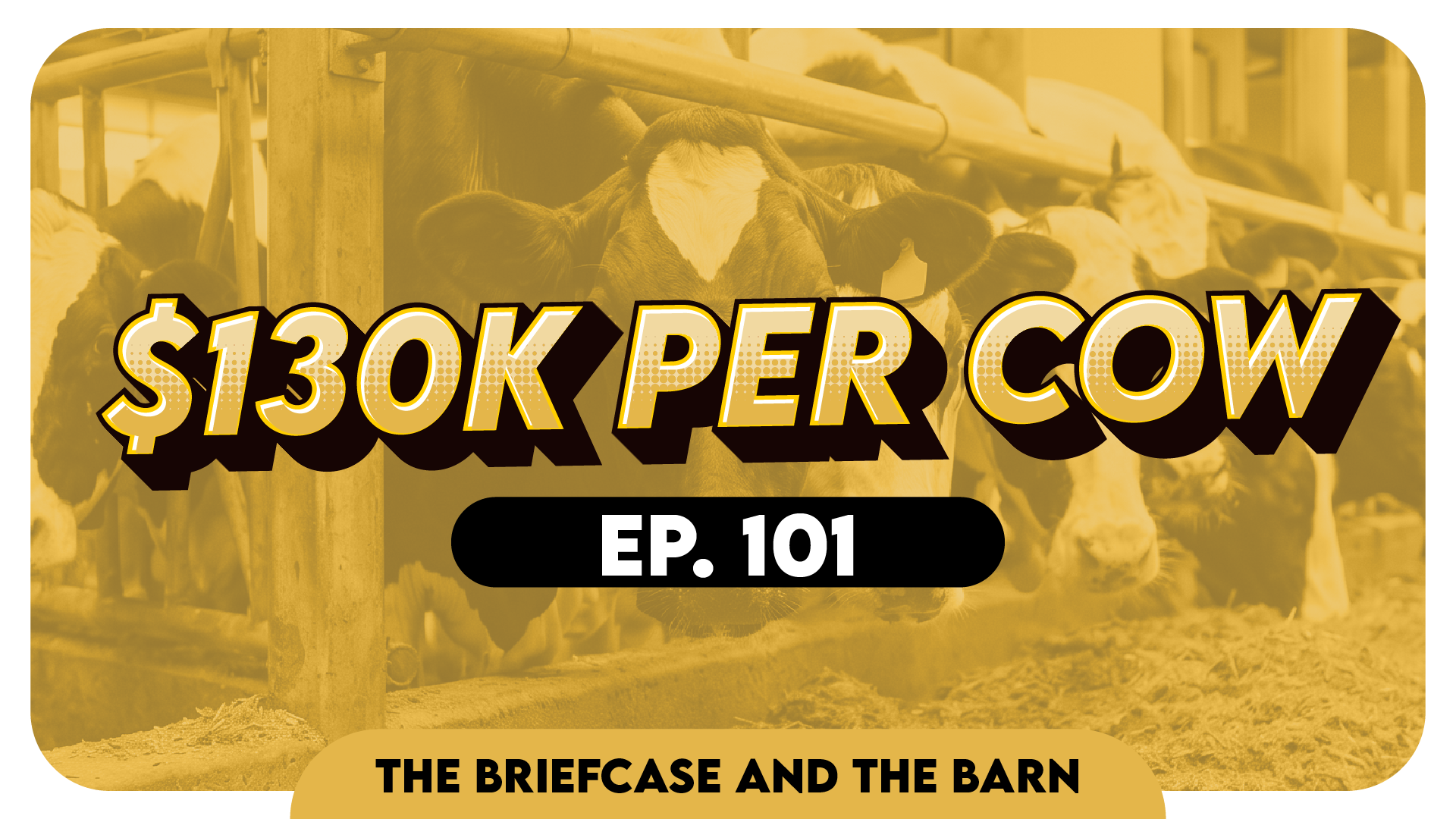 Canadian Dairy Farming Is More Socialist Than You Think - Briefcase & The Barn EP 101