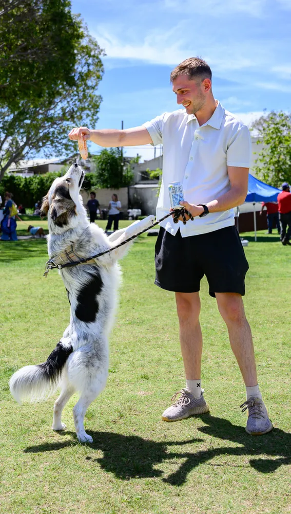 Four-Legged Fur Friends Take to West Hollywood Park for Picasso Pets