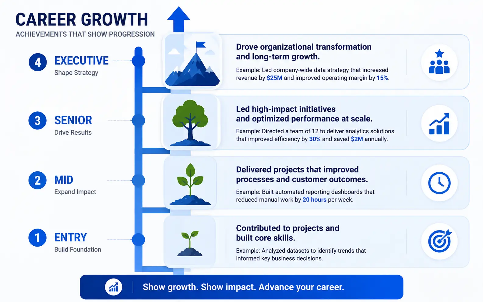 Career level progression showing achievement examples from entry to executive