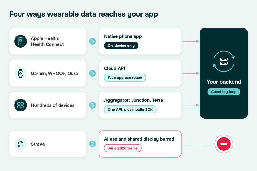 Four ways wearable data reaches a fitness training app: on-device stores, cloud APIs, aggregators, and Strava's restricted API