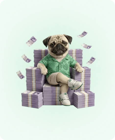 SOMDOG sitting on a chair made out of £20 notes