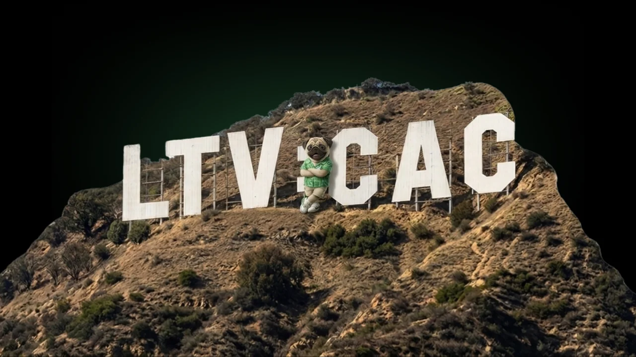 LTV:CAC as a mock "HOLLYWOOD" sign in the hills. SOMDOG is leaning against the first "C". 